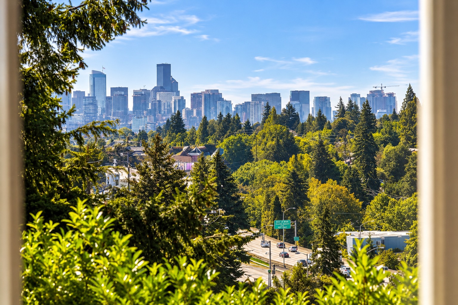 Seattle skyline view